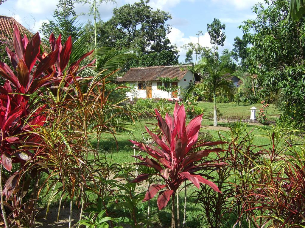 Guesthouse Rumah Senang Kalibaru Екстер'єр фото