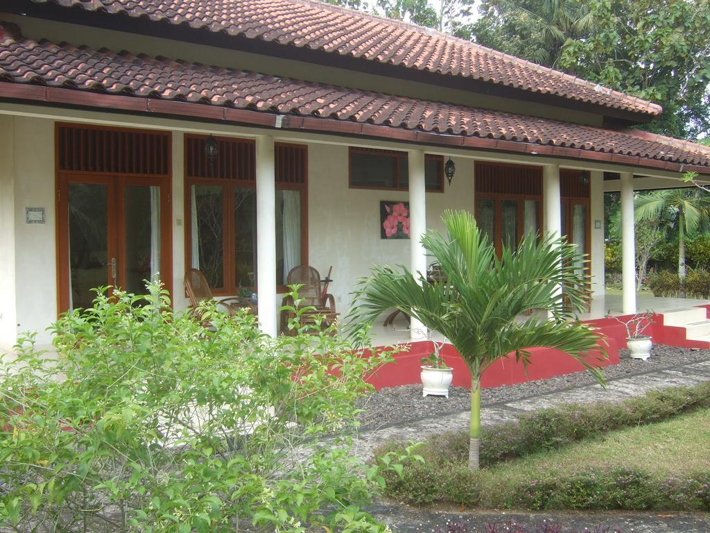 Guesthouse Rumah Senang Kalibaru Екстер'єр фото