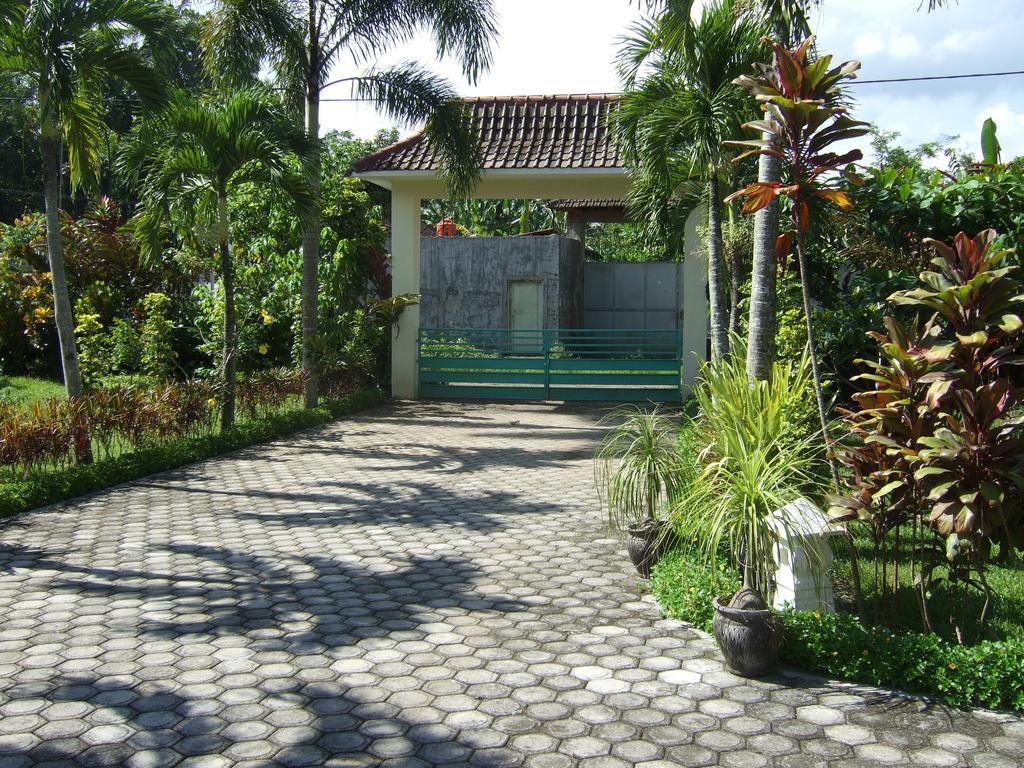 Guesthouse Rumah Senang Kalibaru Екстер'єр фото